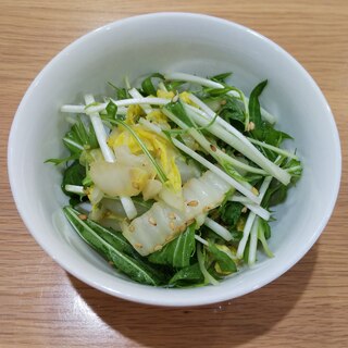 水菜と白菜のごまポンサラダ